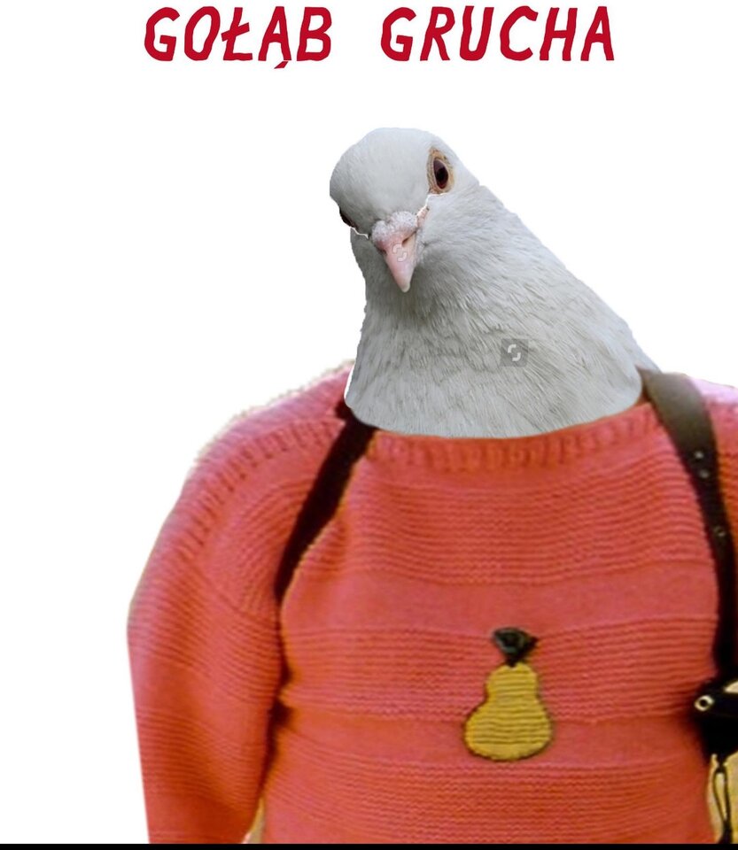 IMG_20230901_092442.jpg - fajnyon1975