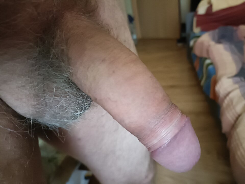 16935598313683634085030416859408.jpg - ardas1