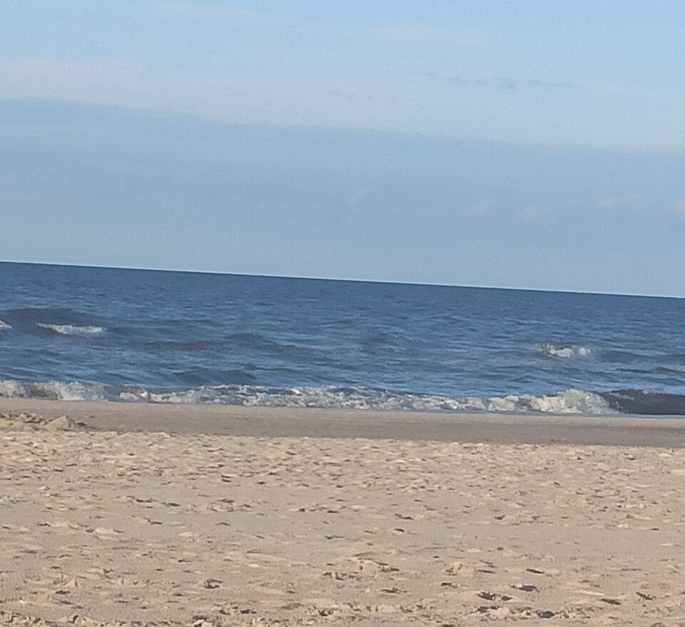 IMG_20230901_182504.jpg - my_lwy