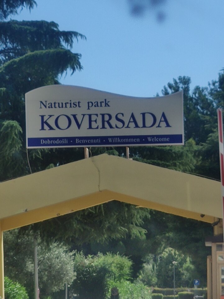 IMG_20230901_143435.jpg - 45parunia