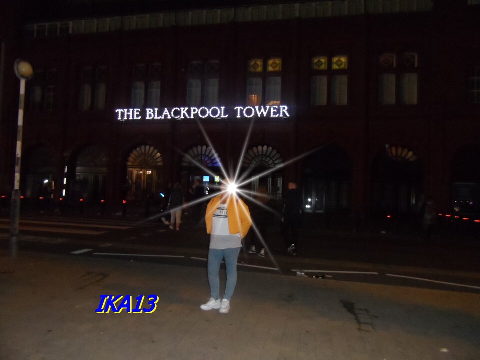 SAM_1676.JPG - ika13