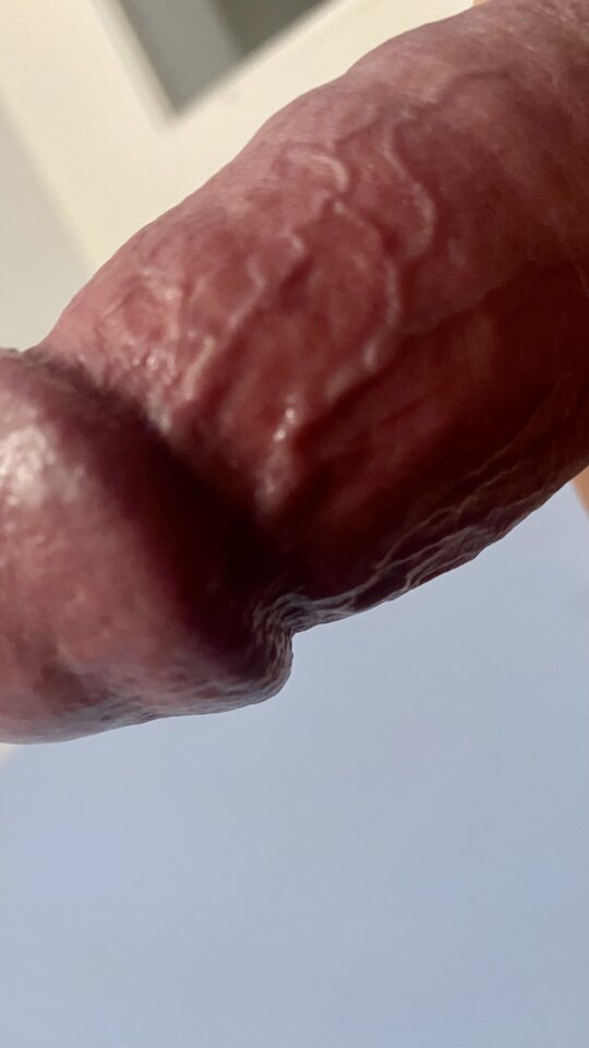 IMG_0363.jpeg - bondjames728