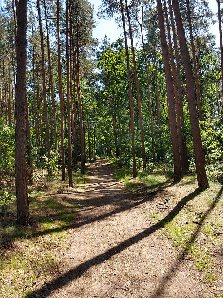 Uwielbiam spacery... - 1980magda1980