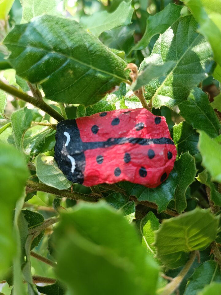 IMG_20230902_111134.jpg - Fani_sexu69