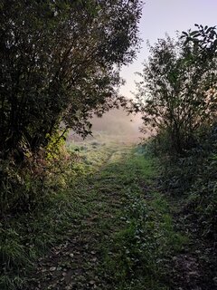 IMG_20230823_062243.jpg