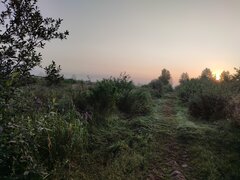 IMG_20230823_055100.jpg