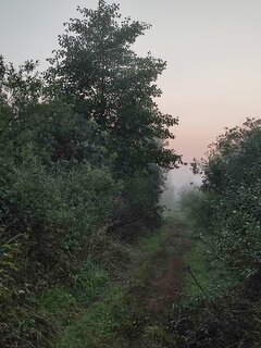 IMG_20230823_052439.jpg