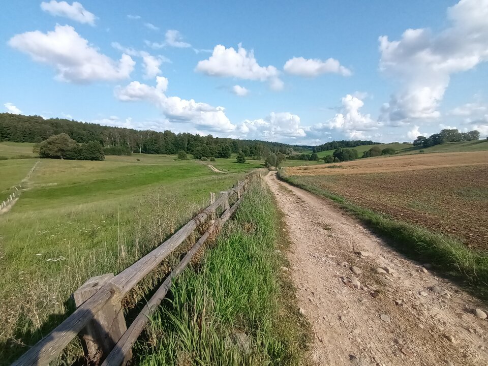 20230902_154742.jpg - 1EWELIKAR1