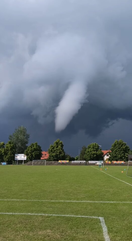 IMG_20230902_090845.jpg - Nicci