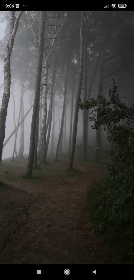 Screenshot_2023-09-02-09-06-25-978_com.instagram.android.jpg - Nicci