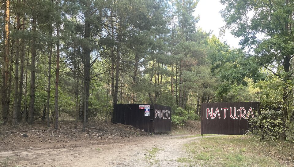 008F59DB-1EAA-49D4-AC9E-691AB87E12DD.jpeg - heniek88