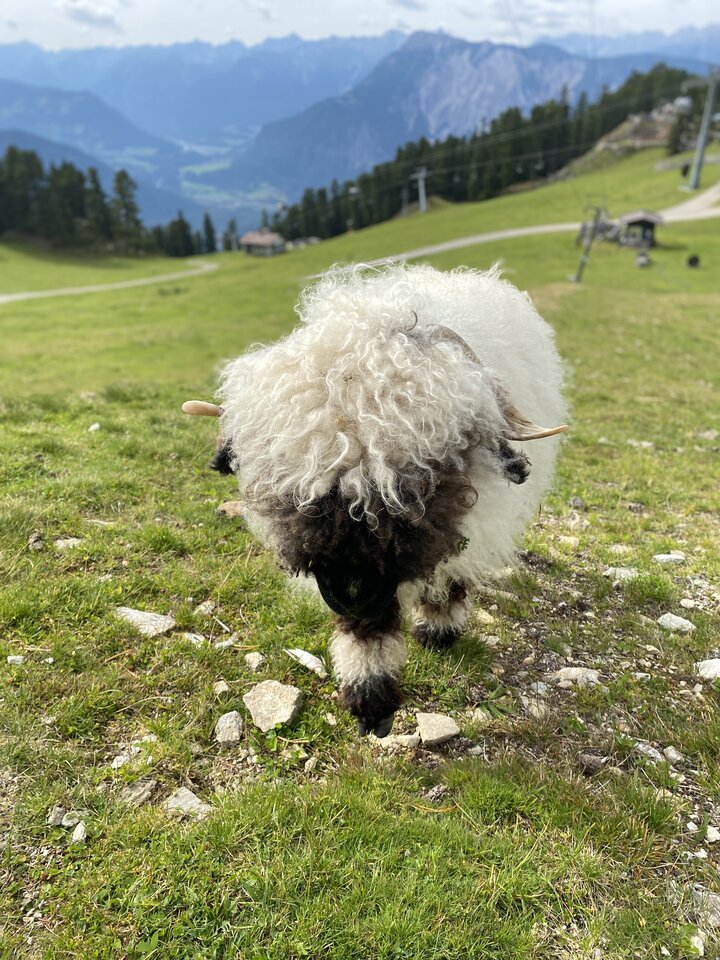 IMG_4935.jpeg - May_Day