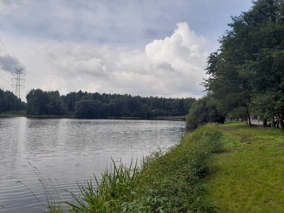 20230903_111053.jpg - Ambrozja2