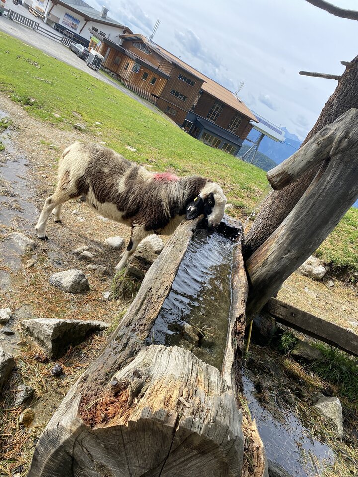 IMG_4945.jpeg - May_Day