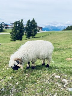 IMG_4938.jpeg
