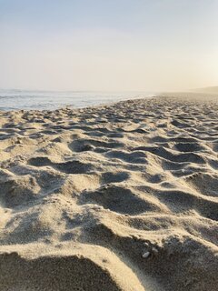 IMG_2077.jpeg