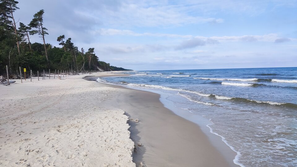 IMG_20230904_093814.jpg - Mr_Rocco_Vaginator