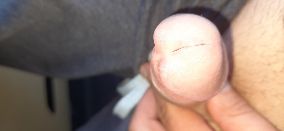 Mój kutas  - Futro1981