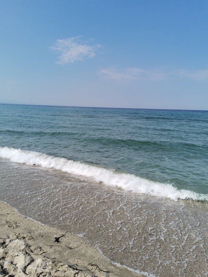 IMG_20230902_160550.jpg - takfajnie