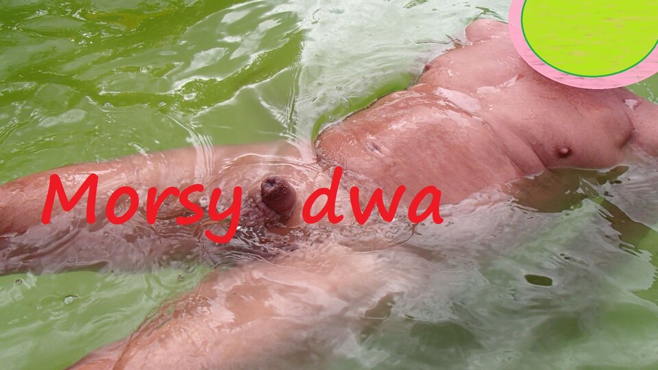 Zbiornik 2216. - Morsy_dwa