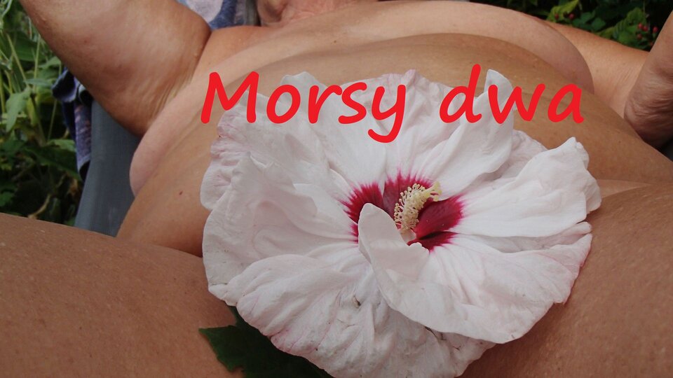 Zbiornik 2204. - Morsy_dwa
