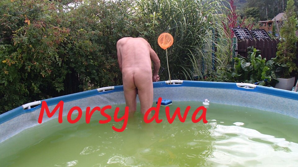 Zbiornik 2211. - Morsy_dwa