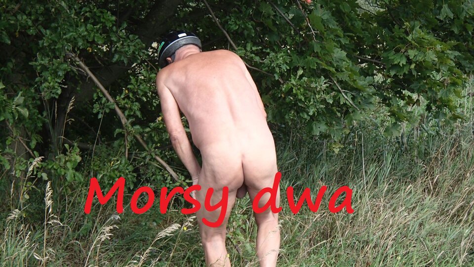 Zbiornik 2227. - Morsy_dwa