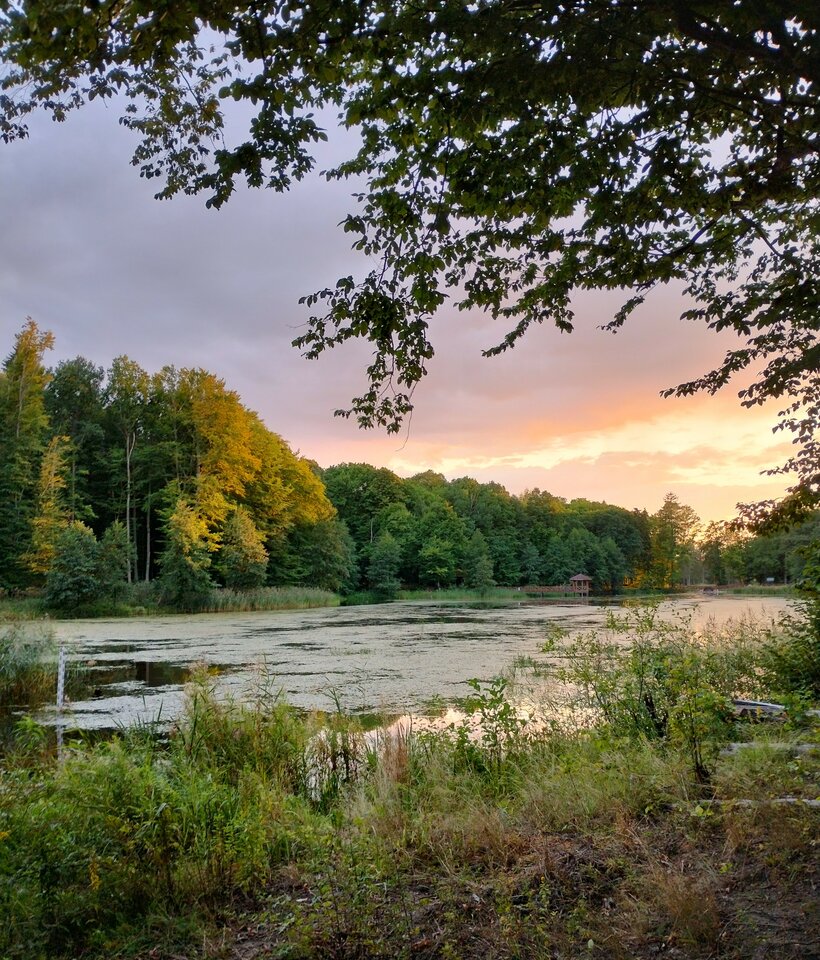 IMG_20230902_184540351_HDR.jpg - agneso