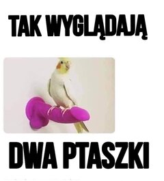FB_IMG_1691230433880.jpg