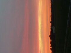 20230517_205410.jpg