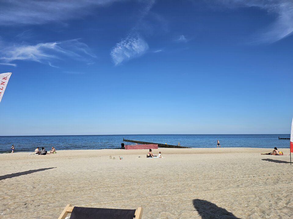 20230905_124053.jpg - Scandii