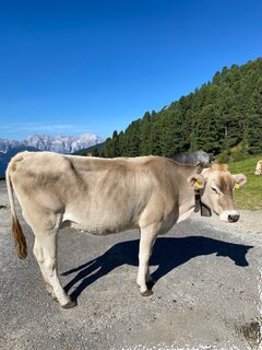 IMG_5023.jpeg