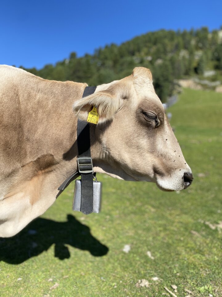 IMG_5010.jpeg - May_Day