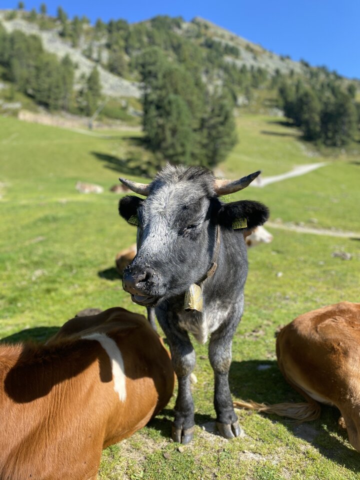 IMG_5005.jpeg - May_Day