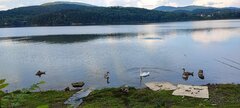 IMG-20230905-WA0009.jpg