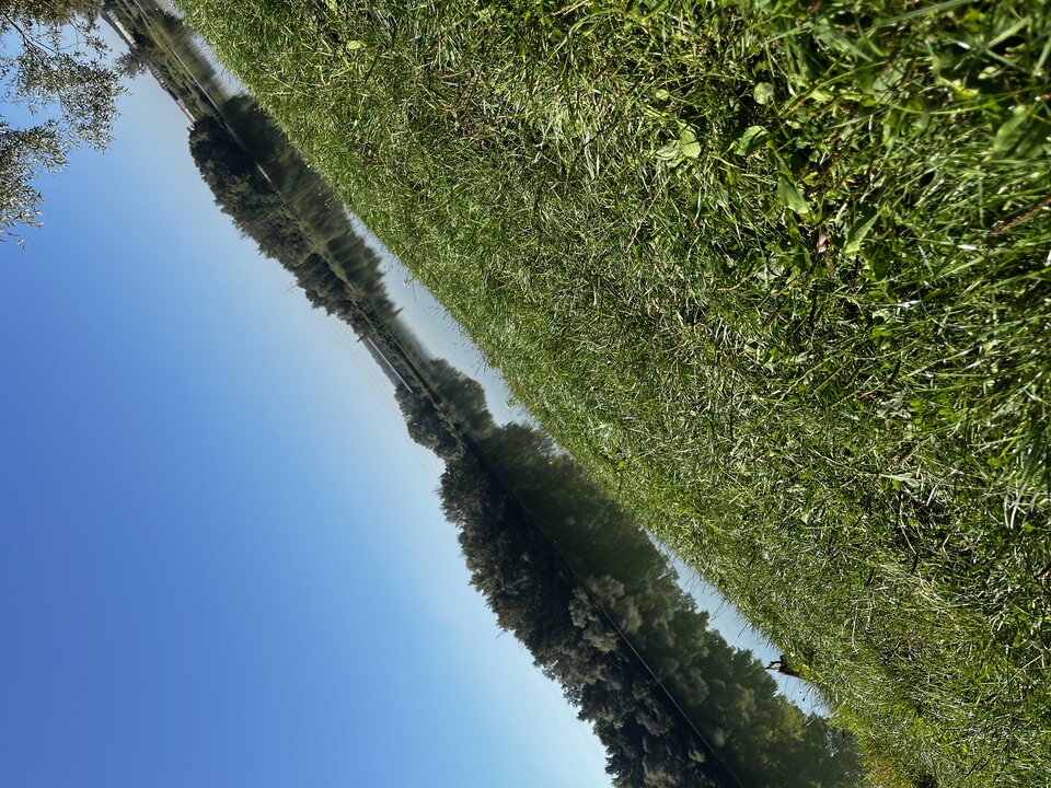 IMG_3173.jpeg - Solozdecy