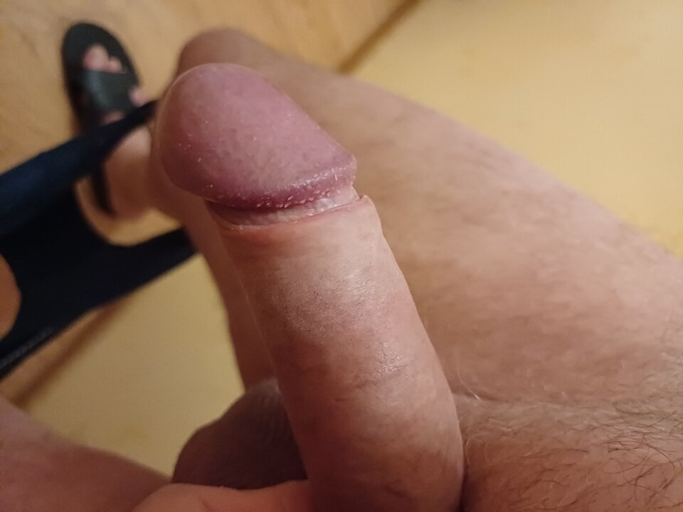 16940211198505390129962500932244.jpg - ardas1