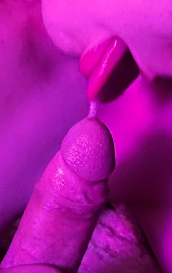 1000003502.jpg - KreatywnaparaBA