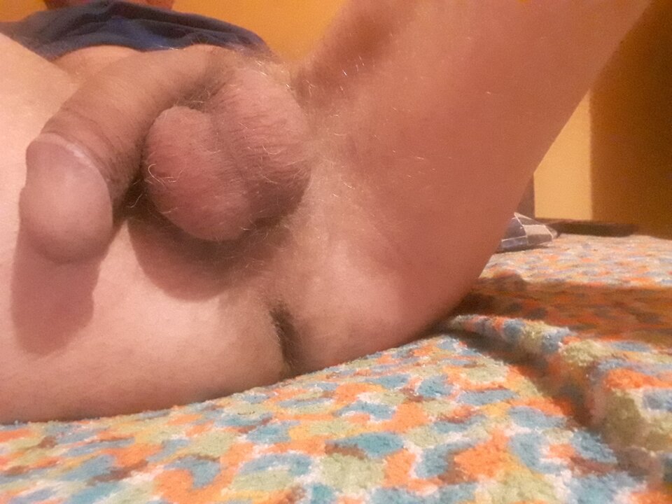 20230907_052756.jpg - brus13