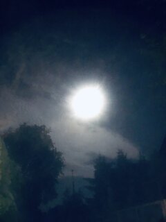 IMG_6340.jpeg