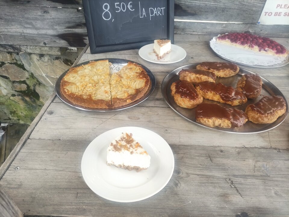 IMG_20221219_115730.jpg - bizon334