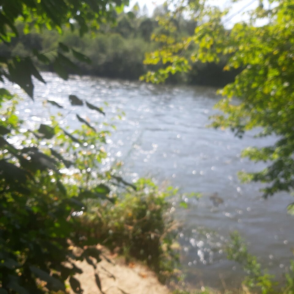 20230907_141013.jpg - Ali70plus