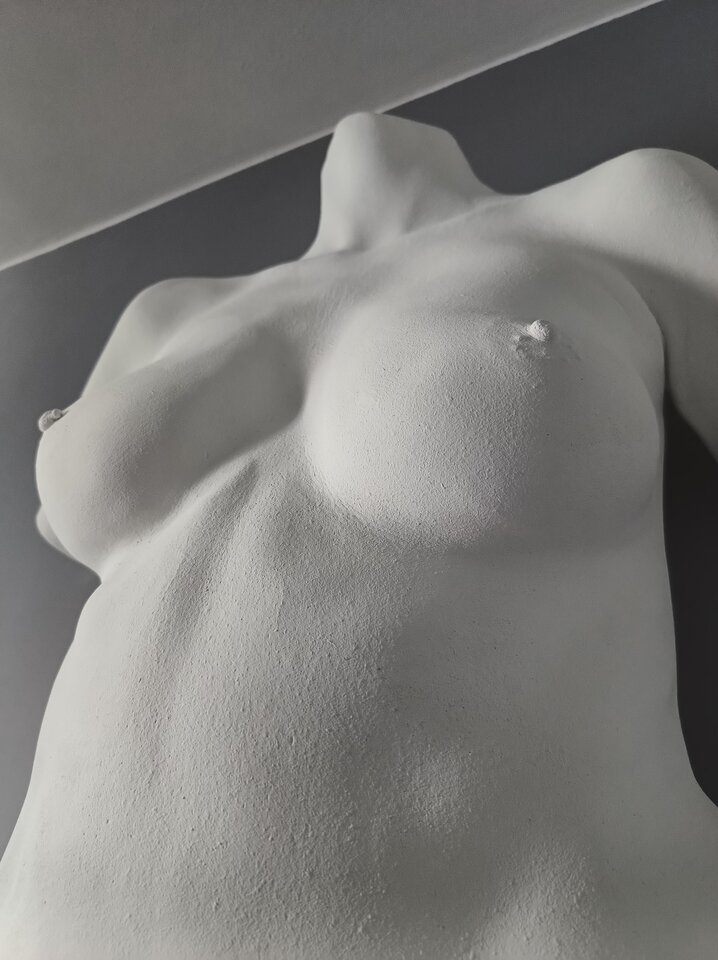 IMG_20230625_122103422.jpg - bodycastingpolska