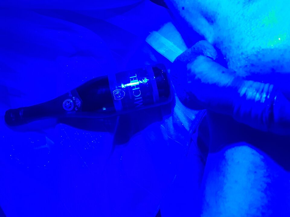 20230908_004219.jpg - NicponieFest