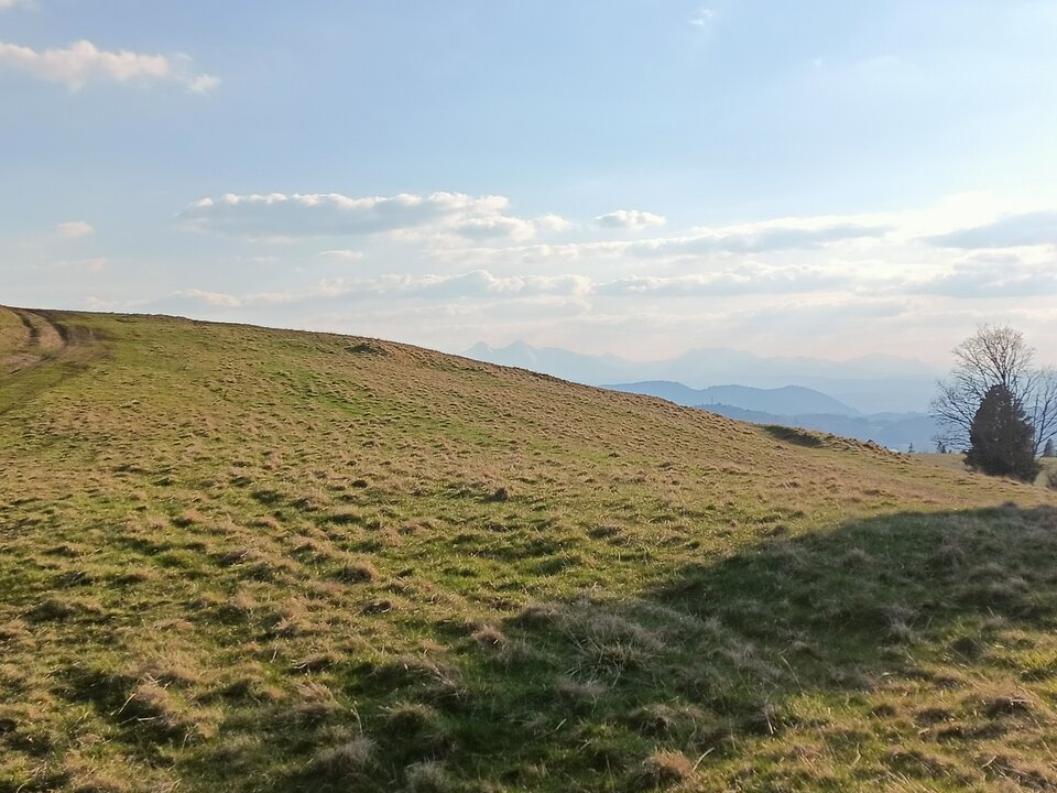 IMG20230421175229.jpg - Specjalista19