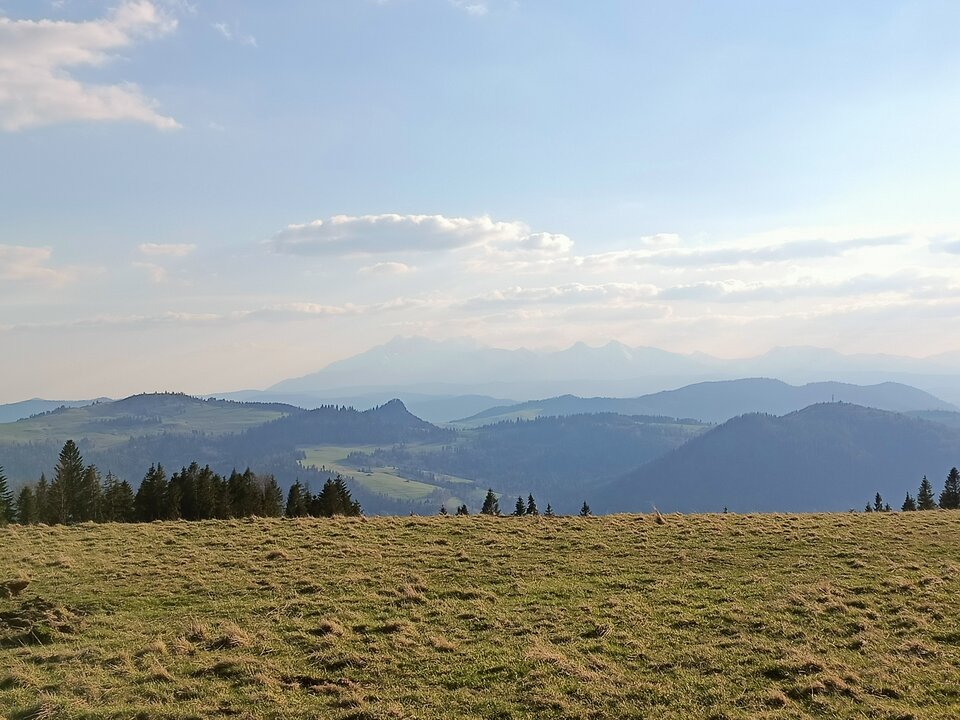 IMG20230421175538.jpg - Specjalista19