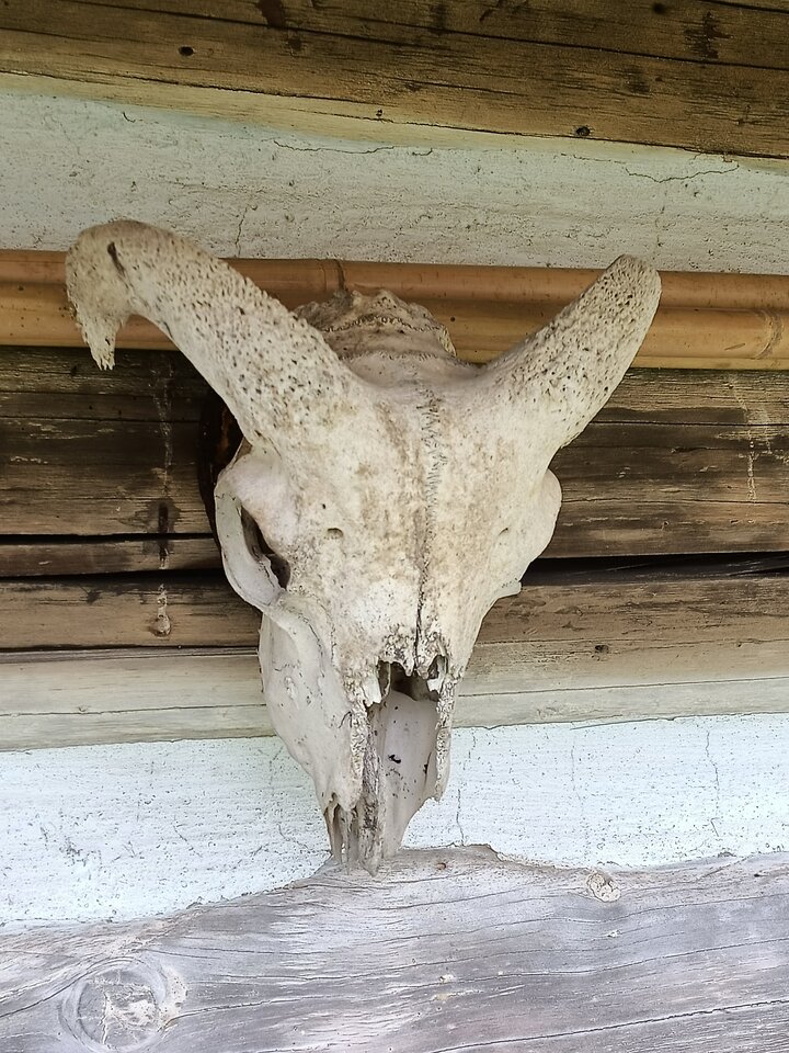 IMG20230424144816.jpg - Specjalista19