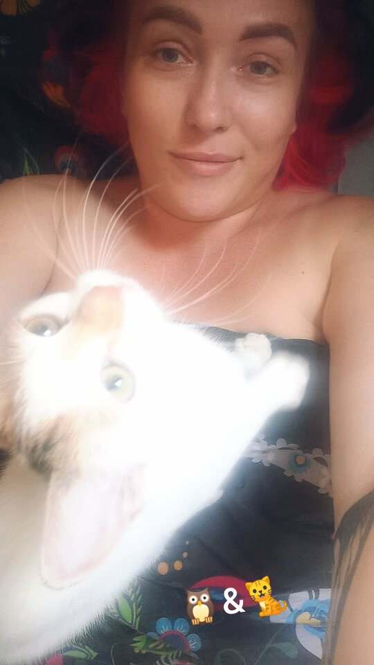 🦉🐈.jpg - OwlsSoul