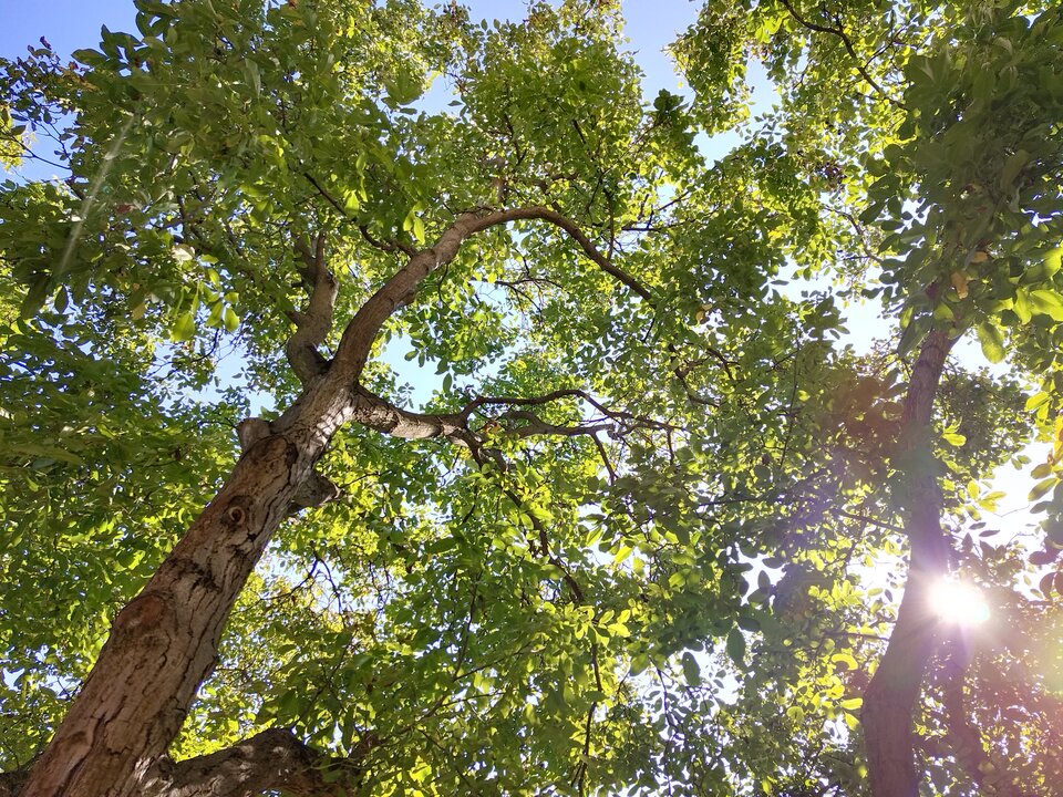 IMG_20230908_133008.jpg - Geloe