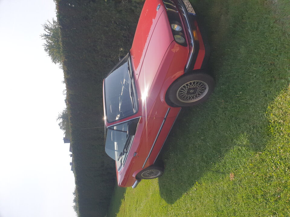 20230909_094747.jpg - Krisstof40